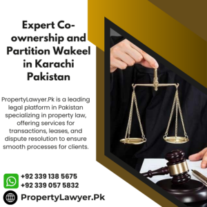 Expert Co-ownership and Partition Wakeel in Karachi Pakistan