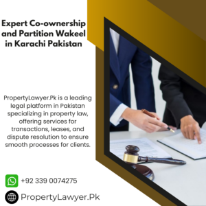 Expert Co-ownership and Partition Wakeel in Karachi Pakistan